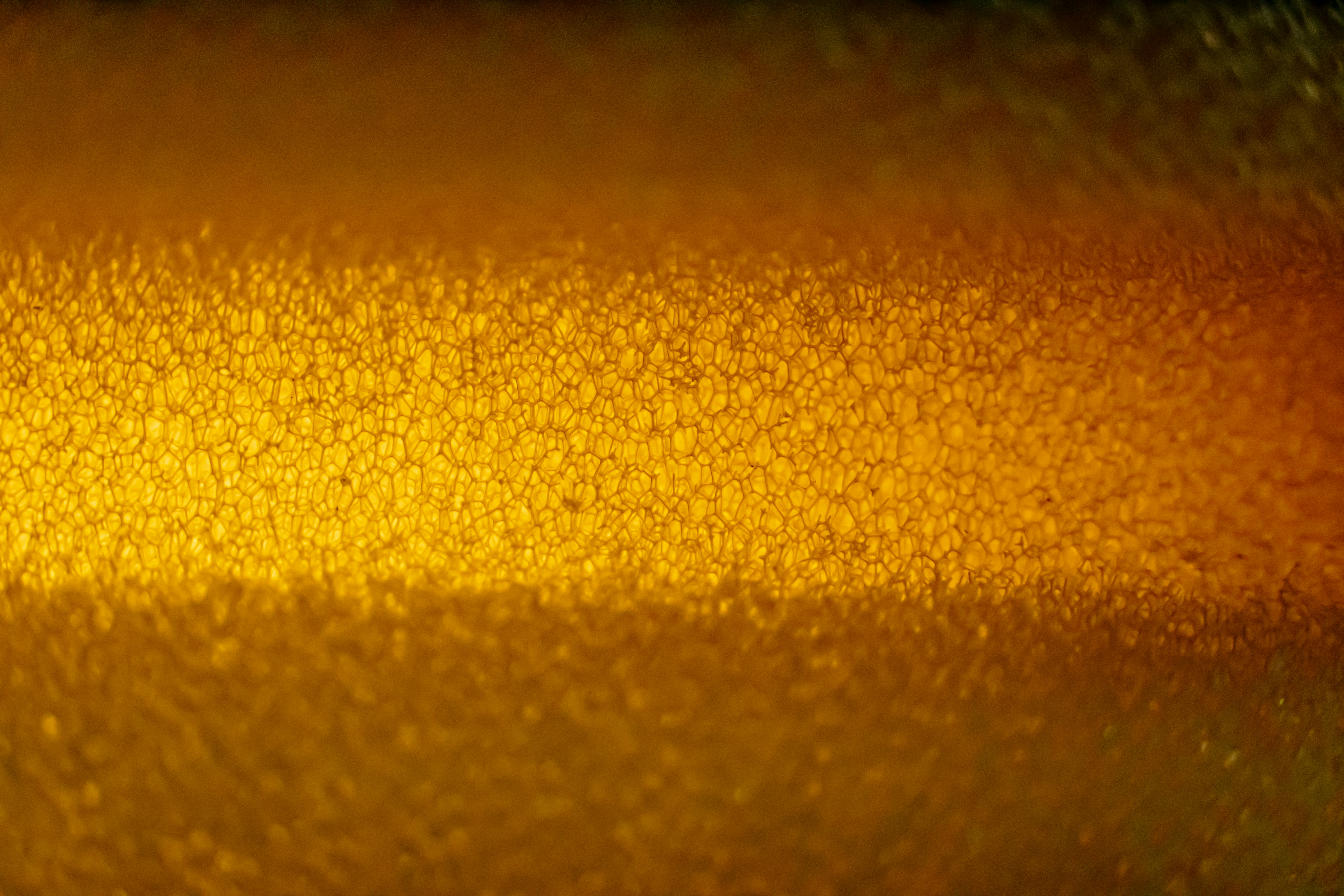 Beer glass texture background